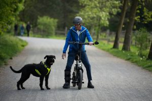 E-Scooter mit Hund zum Gassi gehen