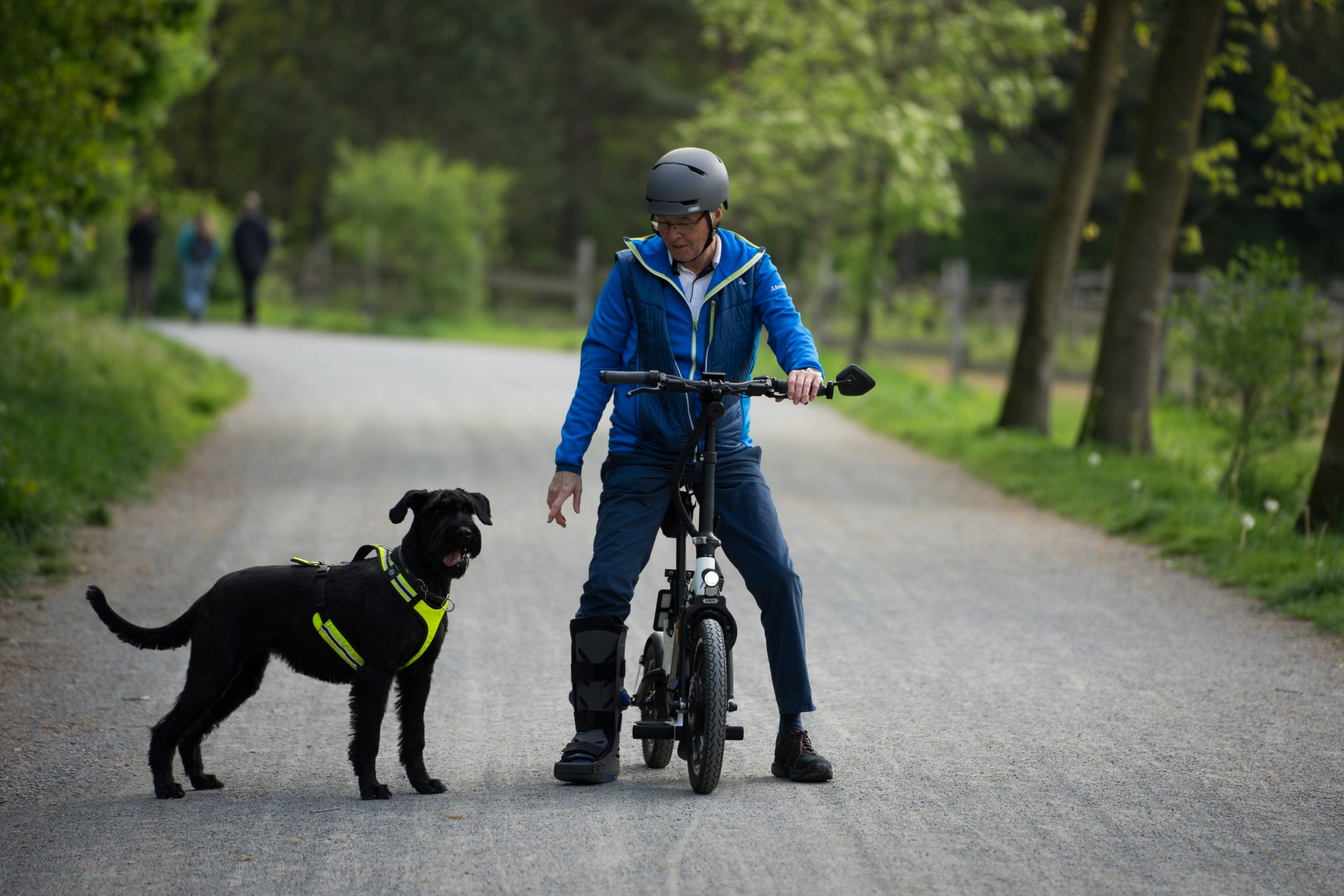Das EBike ohne Treten STEEREON